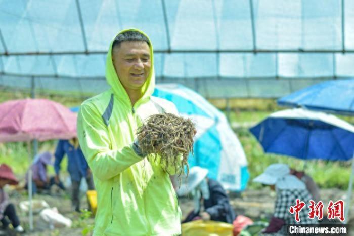 乡村振兴福州_福建振兴集团_